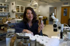 Smithsonian scientist who discovered new species in her laboratory