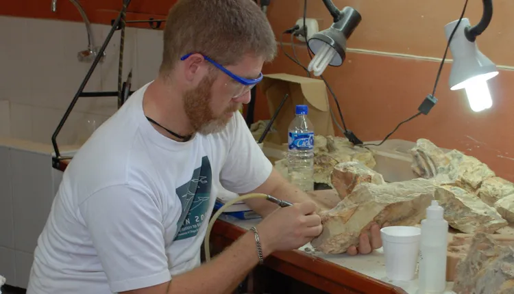 Paleobiologist Mark D. Uhen drills away rock to reveal the fossilized bones of Peruvian archaeocetes (ancient whales), in the Vertebrate Paleontology Department at the Museo de Historia Natural de San Marcos. Uhen is a professor at George Mason Univer