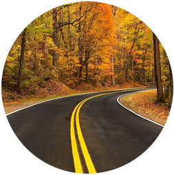 Highway through the woods
