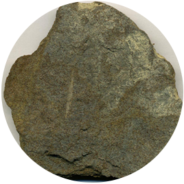 Kerogen