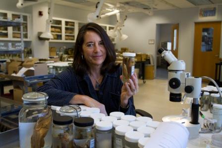 Smithsonian scientist who discovered new species in her laboratory
