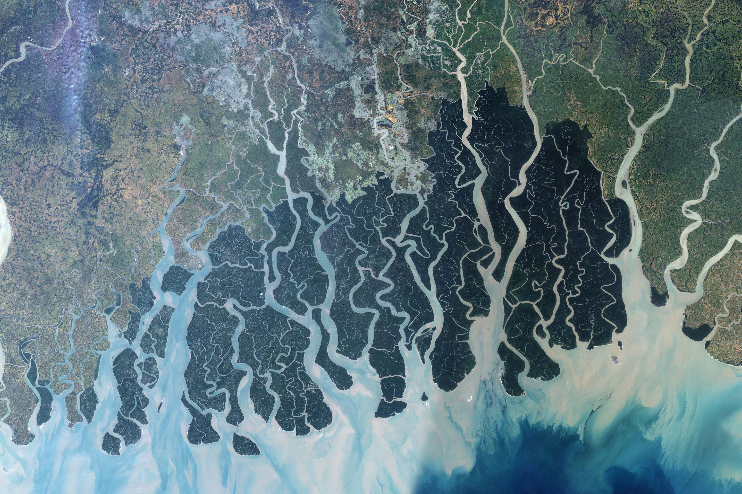 sundarbans-from-space-smithsonian-ocean