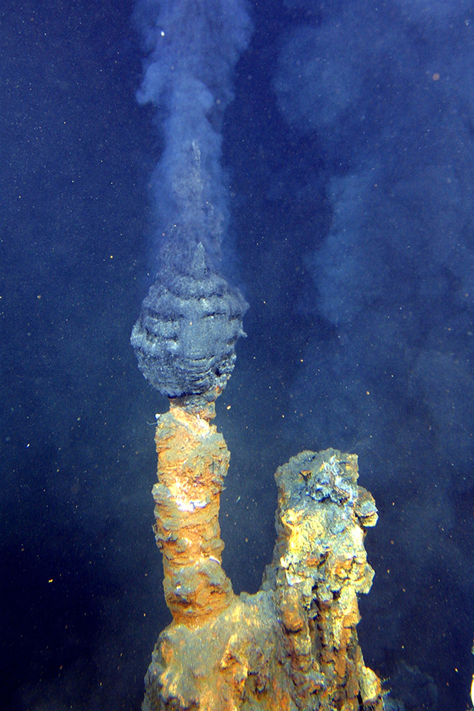 Deep hydrothermal vents hotsell