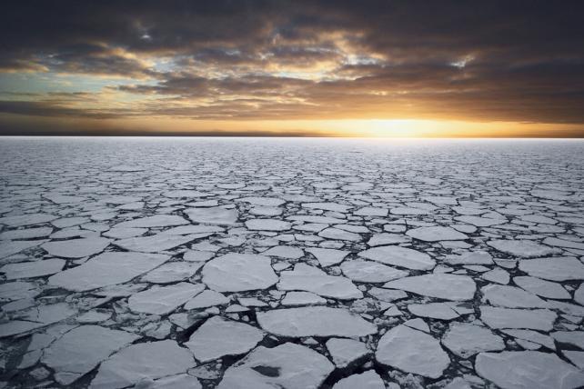 Pack of ice new arrivals