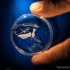 Plastic does not biodegrade; it photodegrades, which means that sunlight breaks it down into smaller and smaller pieces. These bits of plastic and plankton were collected during a 3:00 am manta net tow, and are just a sample of the plankton-like plastic pi