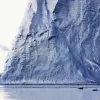 Three distinct types of killer whale can be found in the Antarctic, each with a different habitat and diet preference.