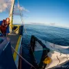 Trash Detective and microbial ecologist Peter Davison and crew haul in the Oozeki net, used to collect fish and other organisms living between 650 and 2,600 feet, at sunrise. Operations aboard the SEAPLEX cruise happened 24 hours a day around the clock.