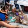 Chelsea Rochman dissects a dorado caught by the crew to see if it had eaten plastic. Nearly 10 percent of all fish collected on the expedition had plastic in their systems.