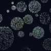 Nutrient influxes can cause phytoplankton blooms in the Antarctic. 