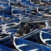 Fleet or Fishing Boats in Port in Morroco