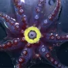 Photograph of the underside of a gelatinous octopus with a bright yellow bioluminescent ring around her mouth.