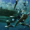 Guitarfish, rays, and other bycatch are tossed from a shrimp boat in La Paz, Mexico in 2006.