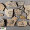 A handful of fossil pieces from the Cambrian period sit on a gray background.