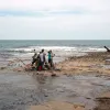Smithsonian scientists race the tide the excavate an ancient whale fossil entombed in rock
