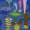 Colorful illustration of extinct Archaeocyatha that lived on the seafloor.