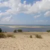 The Banc d'Arguin National Park site in Mauritania was inscribed on the World Heritage List in 1989. Fringing the Atlantic coast, the park comprises sand dunes, coastal swamps, small islands, and shallow coastal waters. A wide variety of migrating birds sp