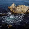 A bird sits atop an outcrop of rocks surrounded by turbulent water. 