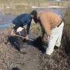 Students from the Dauphin Island Sea Lab delegation plant smooth cord grass in Mobile Bay, Alabama. Their project is addressing the impacts of rising sea levels on critical coastal habitats through both marsh restoration in the Mobile Bay area and educatio