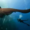 Giant Pacific Manta Ray, Roca Partida Sea Mount, Revillagigedos Islands, Mexico
