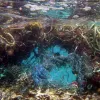 Lost nets become entangled on a coral reef in the NW Hawaiian Islands, doing damage for decades. Wave action on the net breaks pieces of coral off until the net breaks, when it is free to catch on new reefs and do more damage.