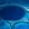 The Belize Barrier Reef Reserve System consists of the largest barrier reef in the northern hemisphere, offshore atolls, and several hundred sand cays, mangrove forests, coastal lagoons, and estuaries. The system's seven sites illustrate the evolutionary h