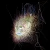 a furry looking fish in blackwater