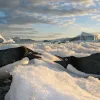 Two Adélie penguins face each other while lying on ice. 