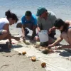 Students examine items collected on a beach.