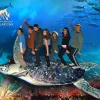 Students are made to look like they are riding the back of a giant turtle in a doctored photo.
