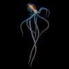 a colorful octopus in blackwater