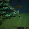 How well could you eat with a saw on your face? If you were a sawshark, you couldn’t eat without one! Sawsharks are named for their long snouts, which have sharp teeth protruding from either side. They attack their prey by slashing these “saws” from 