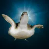 Green Sea Turtle, Armeñime, Tenerife, Canary Islands, Spain 