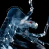 A side-view of a translucent phronima with a large red eye. 