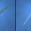 This fish is using counterillumination to disappear. At left it stands out against the light above it. At right, with bioluminescent structures lit, it blends in.