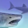 Artistic rendering of an ancient shark, Helicoprion.