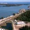 Farther north, in Fort Pierce, Florida, researchers at the Smithsonian Marine Station focus on mangroves and other marine ecosystems of Florida.