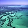The Shark Bay site in Australia was inscribed on the World Heritage List in 1991. The site is home to the world's richest and largest sea-grass beds; five species of endangered marine mammals, including dugongs (Dugong dugon), which feed on the grass; and 