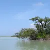 The Sian Ka'an site in Mexico was inscribed on the World Heritage List in 1987. The site's name means "Origin of the Sky" in Mayan and contains tropical forests, mangroves, and marshes, as well as a large marine area intersected by the Caribbean Barrier Re