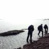 Students from Helen Scales' class visit the seashore to explore mollusks. 