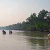 The Sundarbans site in Bangladesh, which was inscribed on the World Heritage List in 1997, includes one of the largest remaining areas of mangroves in the world and supports a rich animal community.