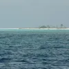 The Tubbataha Reefs National Park site in the Philippines was inscribed on the World Heritage List in 1993. The site is an example of a pristine coral reef with a spectacular 100 m (330 ft) perpendicular wall, extensive lagoons, and two coral islands - all