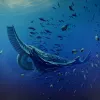The first known filter feeder is a large shrimp-like creature called Tamisiocaris borealis. The feather-like structures on its head were used to rake plankton from the sea.