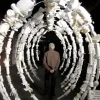 A whalebone rib cage replica made from empty white bottles. 