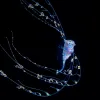 a larval fish with specialized filaments that fan out like tentacles