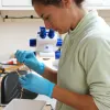 A marine scientist performs a genetic analysis on a sample of deep-sea coral to find out if it is a known or new species.
