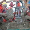 Benthic scientists are interested in organisms on the seafloor.