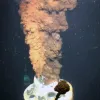 Dispersant in the Deep: Dispersants, soap-like chemicals that cause oil to mix with water more easily, have been used with success to remove oil after a spill on the ocean's surface. But Deepwater Horizon wasn't a surface spill; instead, oil spewed into th