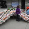 A life-size sea star sculpture made from plastic trash. 