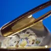 Zooplankton are small—but do you know just how small? This drop of water smaller than the eye of a needle is magnified 20x and contains multitudes. 