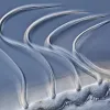 Beating Cilia of Comb Jelly Combs